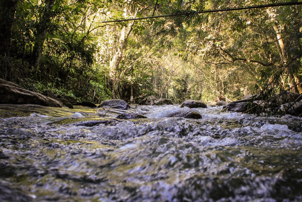 Pousada Riacho Da Serra Penedo  Buitenkant foto